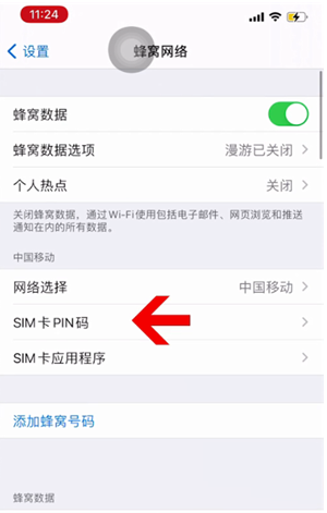 大通苹果14维修网分享如何给iPhone14的SIM卡设置密码 