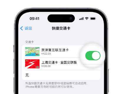 大通apple维修点分享iPhone上更换Apple Pay快捷交通卡手绘卡面 