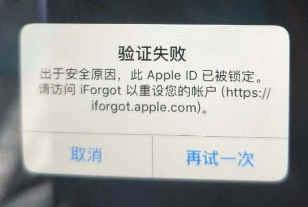 大通iPhone维修分享iPhone上正常登录或使用AppleID怎么办 