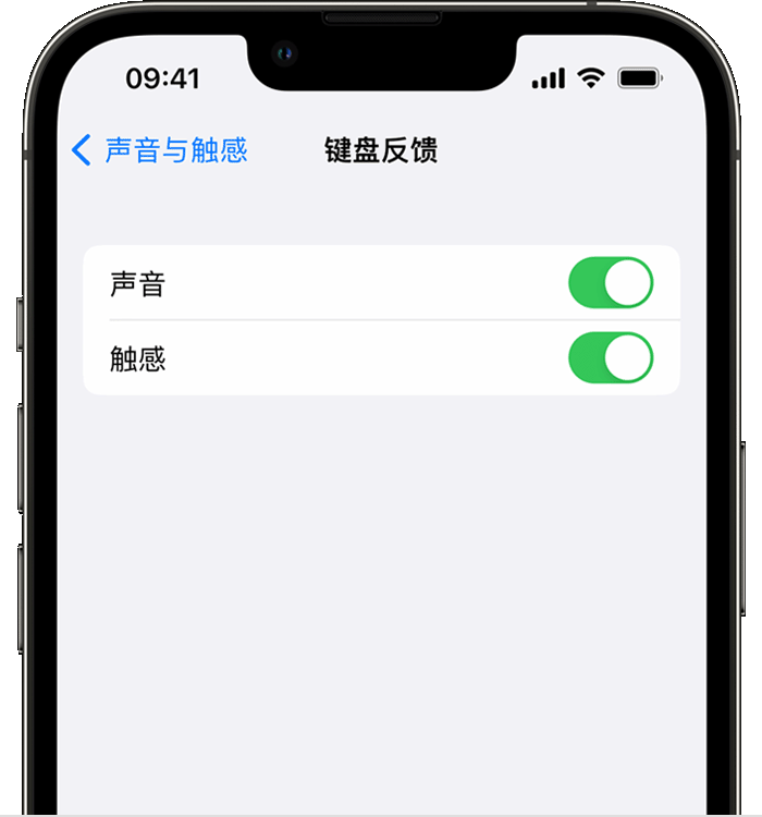 大通苹果14维修店分享如何在 iPhone 14 机型中使用触感键盘 