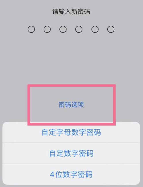 大通苹果14维修分享iPhone 14plus设置密码的方法 