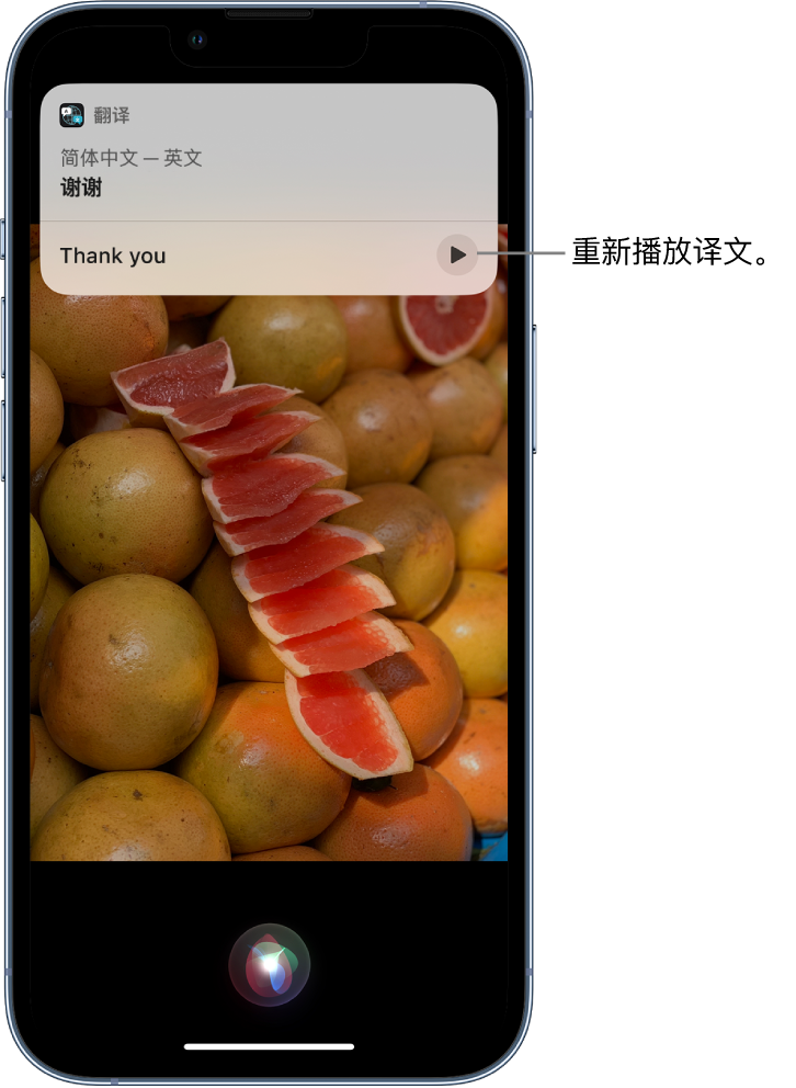 大通苹果14维修分享 iPhone 14 机型中使用 Siri：了解 Siri 能帮你做什么 