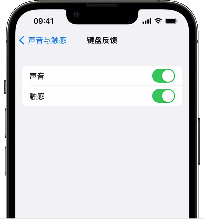 大通苹果14维修分享iPhone 14 系列机型如何开启键盘声音或触感反馈 