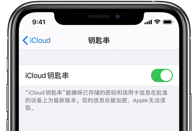 大通苹果手机维修分享在 iPhone 上开启 iCloud 钥匙串之后会储存哪些信息 