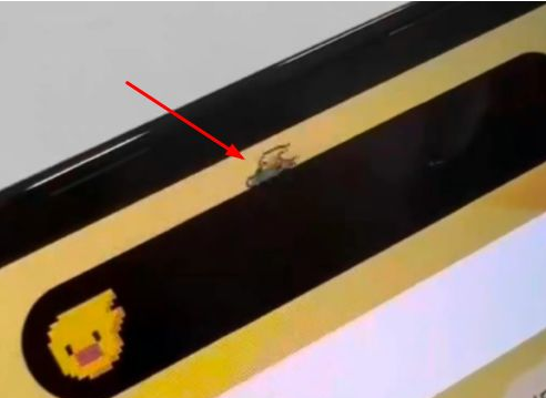 大通苹果14维修分享iPhone 14 Pro Max灵动岛怎么养宠物 
