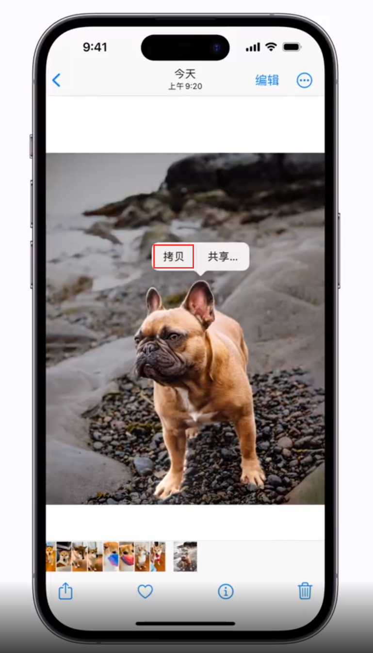 大通苹果手机维修分享 iOS 16 自带一键抠图功能 