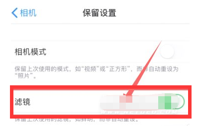 大通苹果13维修分享iPhone13拍照有绿点是怎么回事 