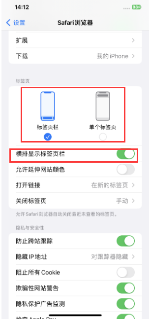 大通苹果手机维修分享Safari浏览器如何切换标签栏位置 