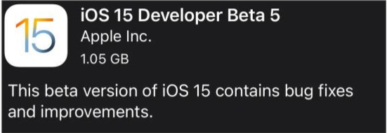 大通苹果手机维修分享如何升级到iOS15.0 beta5 