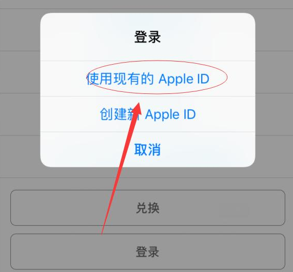 大通苹果手机维修分享两台iPhone设备可以同时登录一个Apple ID吗 