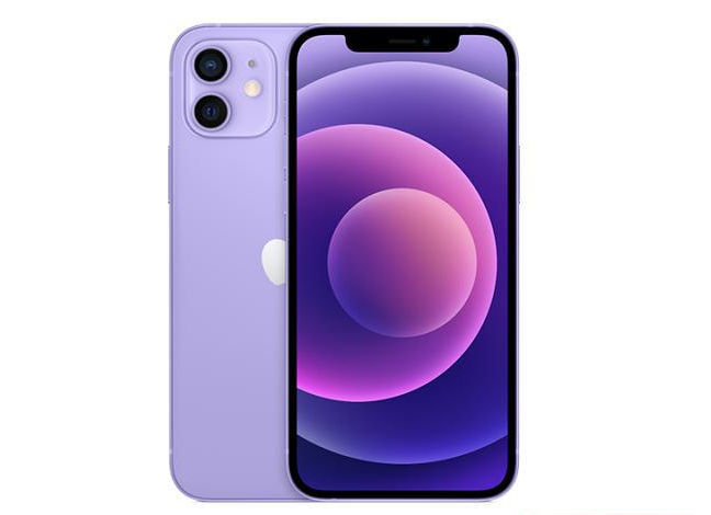 大通苹果手机维修分享现阶段要不要入手紫色版iPhone12 