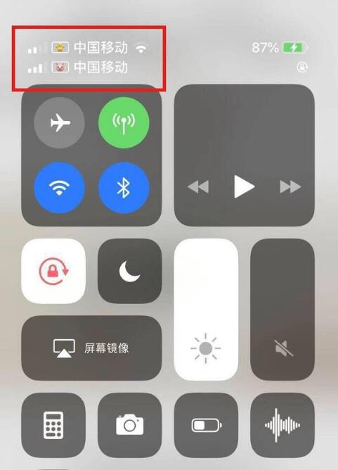大通苹果手机维修分享为 iPhone 12 双卡设置标签 