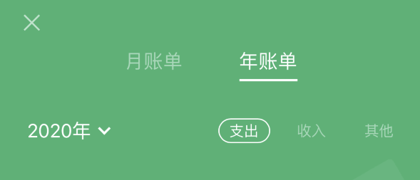 大通苹果手机维修分享如何在 iPhone 上查看支付宝和微信年支出账单 