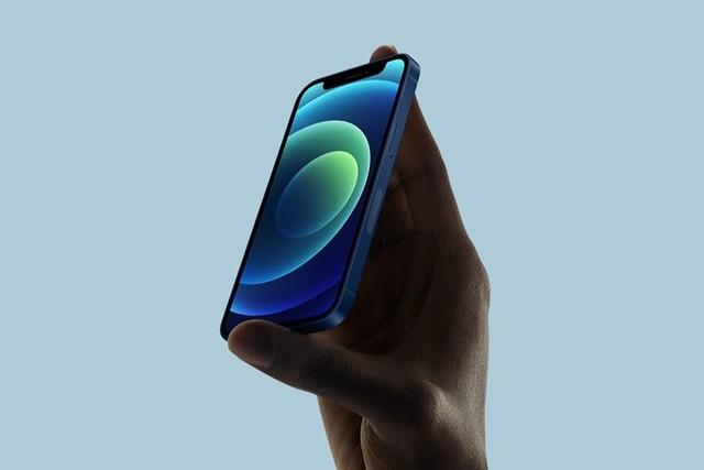 大通苹果手机维修分享iPhone 12 mini辐射很大吗 