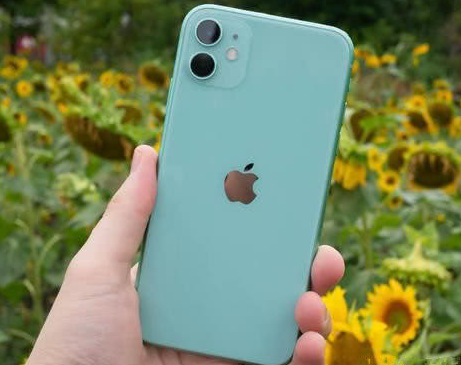 大通苹果维修点分享iPhone 11锁屏密码认知与使用科普 