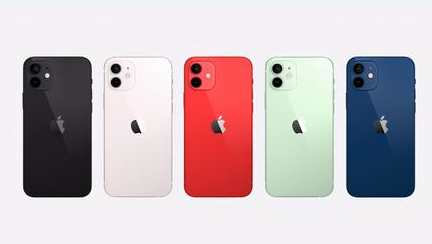 大通苹果维修点分享iPhone 12锁屏密码系统机制科普 
